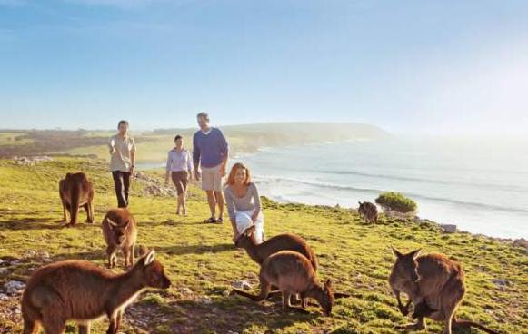 澳洲商業(yè)移民 澳洲商業(yè)移民